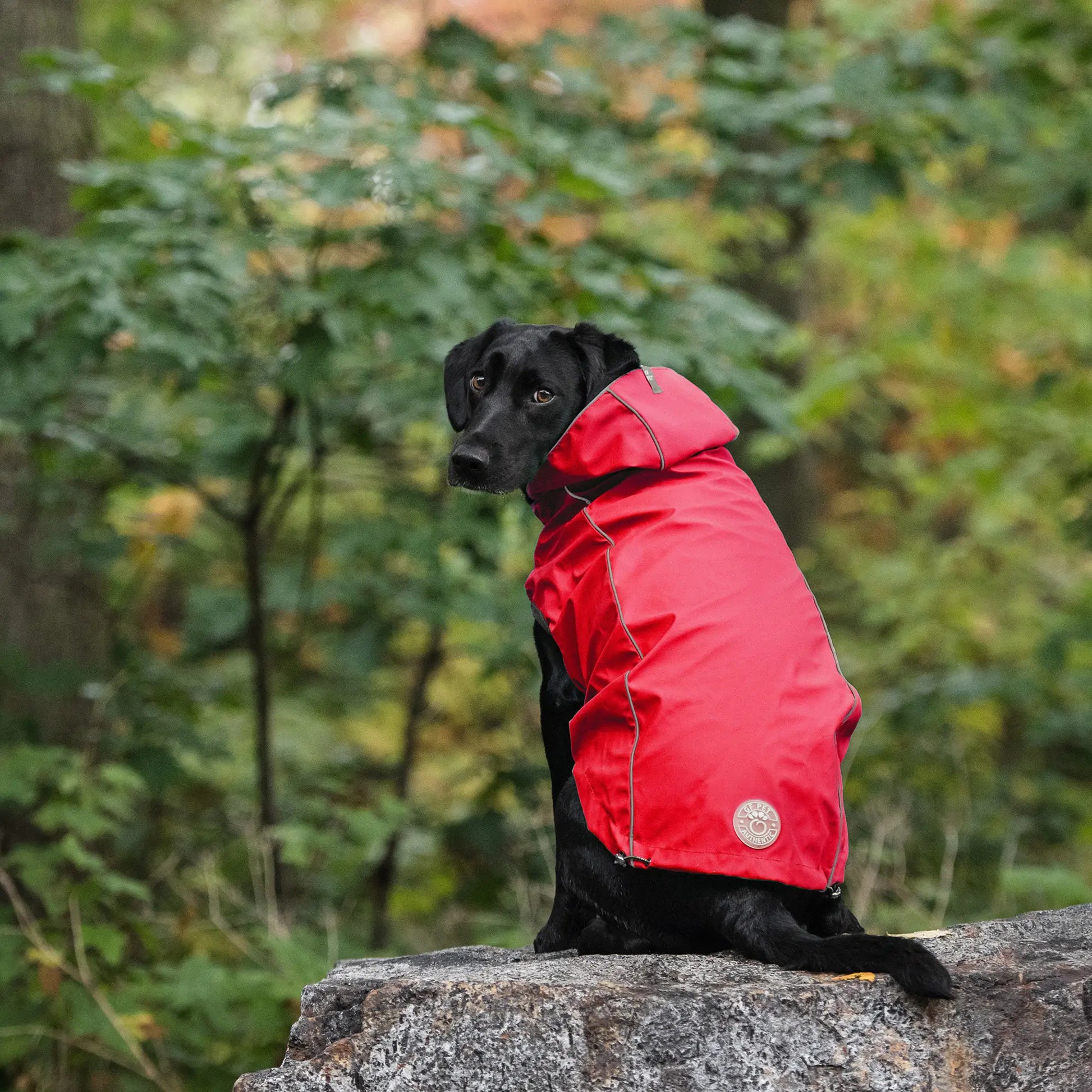 Reversible Elasto-Fit Raincoat - Red - Lila & Phia